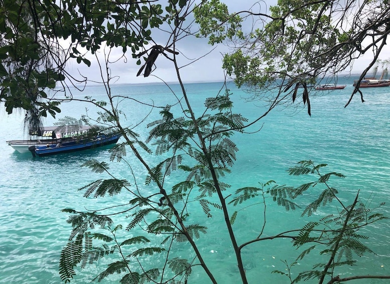 A boat anchored near a tree-lined shore with clear turquoise water. 4