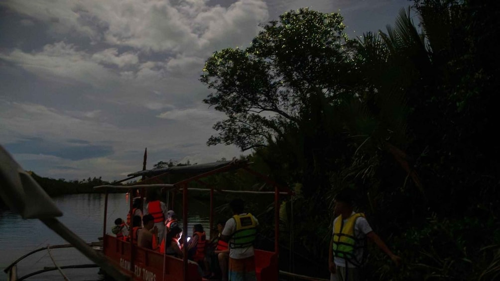 Bohol Firefly Watching: Loboc River Night Cruise 1