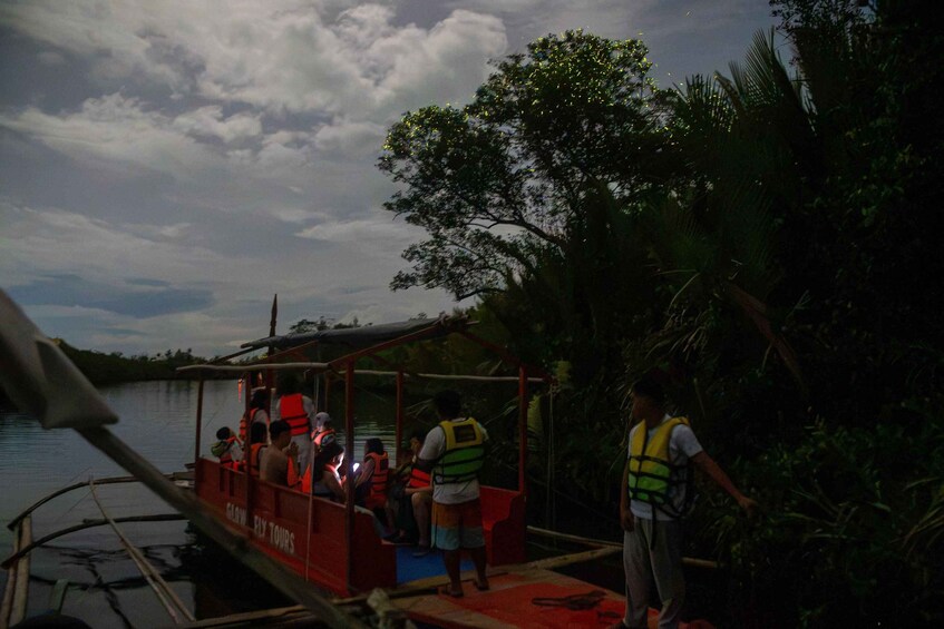 Picture 4 for Activity Bohol Firefly Watching: Loboc River Night Cruise 3