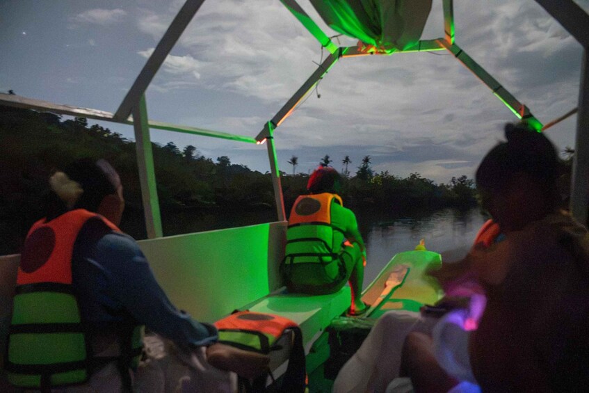 Picture 7 for Activity Bohol Firefly Watching: Loboc River Night Cruise 4