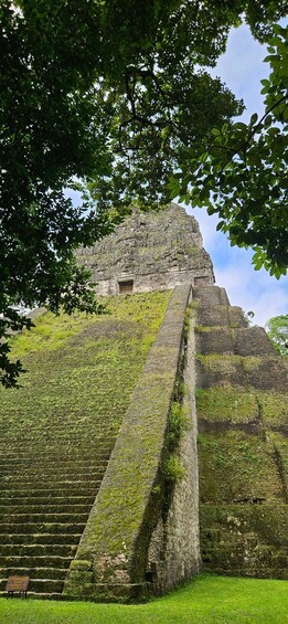 A large stone pyramid with a staircase leading up to it, surrounded by lush greenery. 5