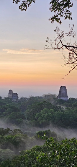 A landscape with two ancient stone structures surrounded by dense forest. 1