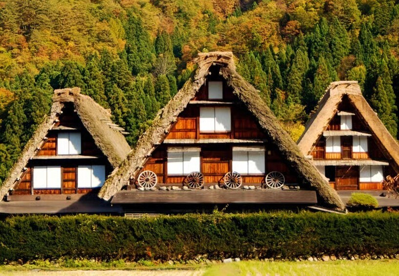 Three traditional thatched-roof houses with wooden walls and white windows, set against a forested hillside. 1