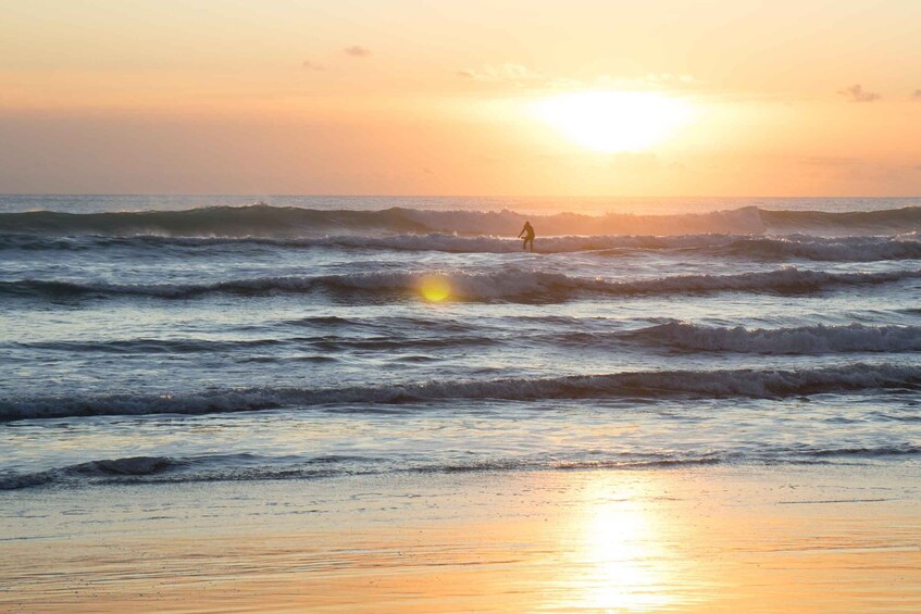 Picture 1 for Activity Auckland Private Tour: West Coast Wilderness & Piha Beach 3