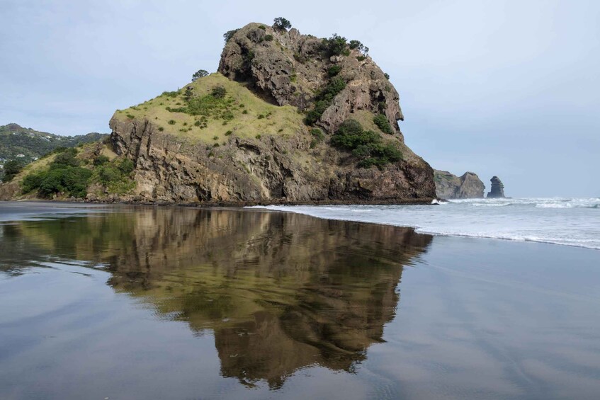 Picture 3 for Activity Auckland Private Tour: West Coast Wilderness & Piha Beach 5