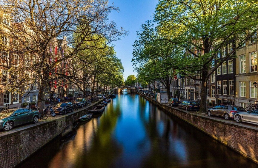 Picture 7 for Activity Amsterdam: Private Highlights & Hidden Gem Tour by historian 5