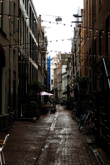 Picture 8 for Activity Amsterdam: Private Highlights & Hidden Gem Tour by historian 3