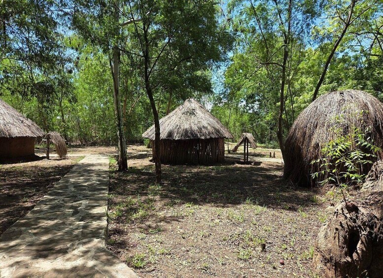A forest with thatched-roof huts and a dirt path. 2