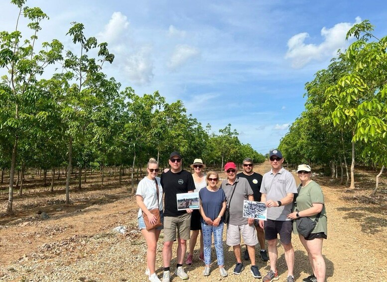 A group of people standing in a vineyard with rows of trees and a clear sky. 5