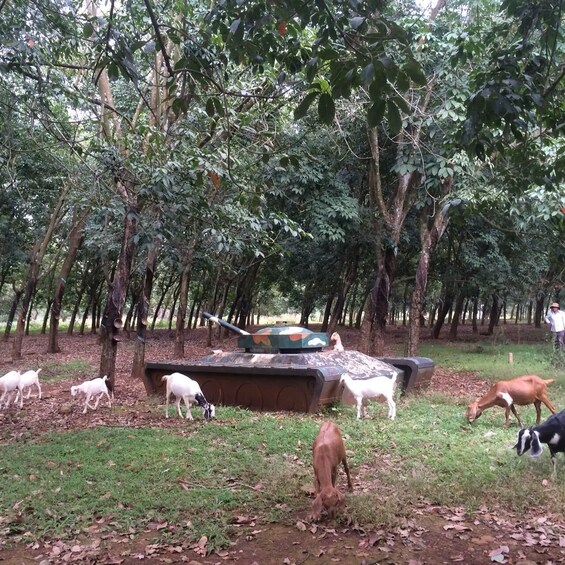 A tank camouflaged among trees in a forested area with goats grazing nearby. 3