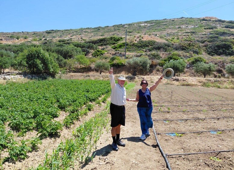 Picture 37 for Activity Melanes Tour: Village Highlights & Garden-to-Table Meal 1
