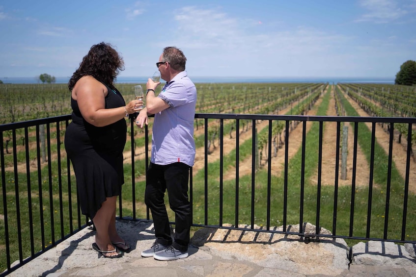 Two people standing on a balcony overlooking a vineyard. 4
