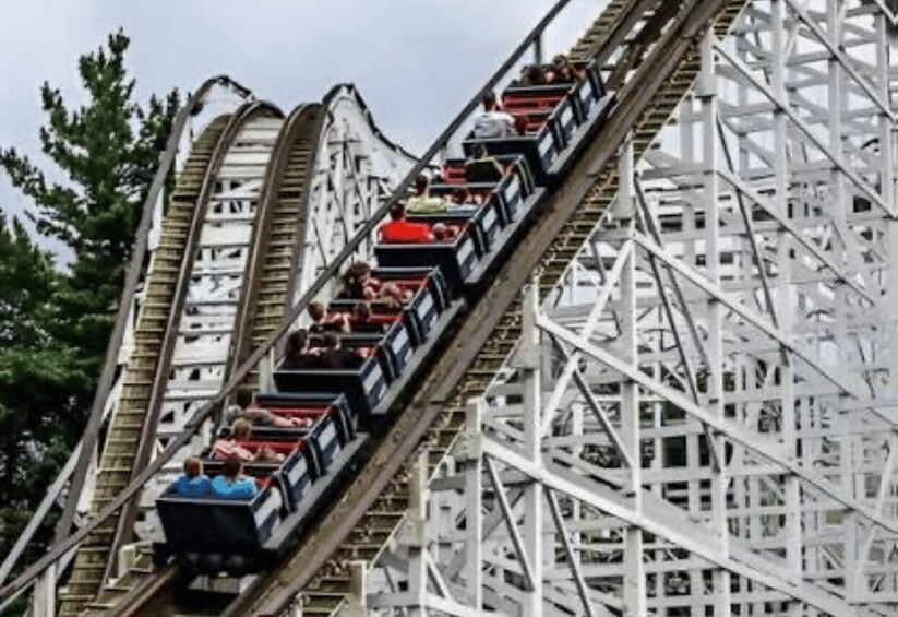 A roller coaster with cars filled with passengers, white metal structure, and trees in the background. 4