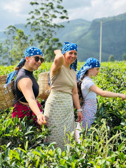 Nuwara Eliya Tuk Tuk tour to Tea Plantations & Waterfalls. 1