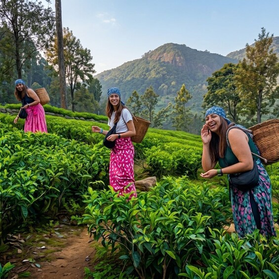 Nuwara Eliya Tuk Tuk tour to Tea Plantations & Waterfalls. 2
