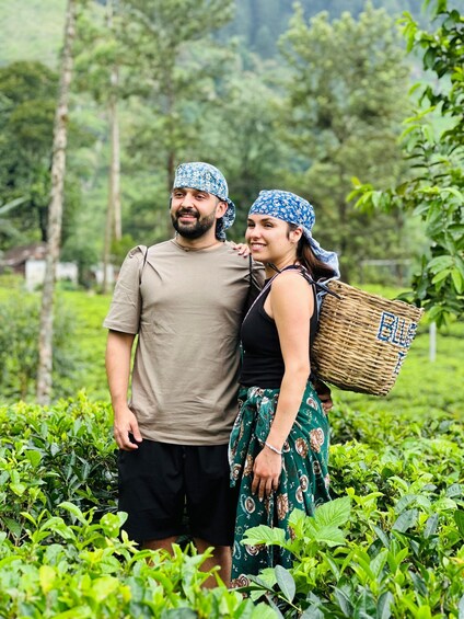 Picture 63 for Activity Nuwara Eliya Tuk Tuk tour to Tea Plantations & Waterfalls. 3