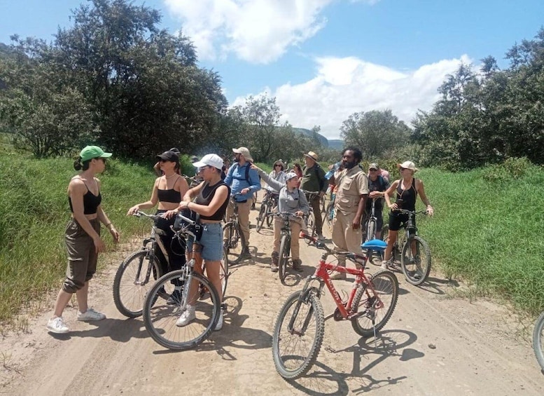 A group of people on bicycles on a dirt path surrounded by greenery. 2