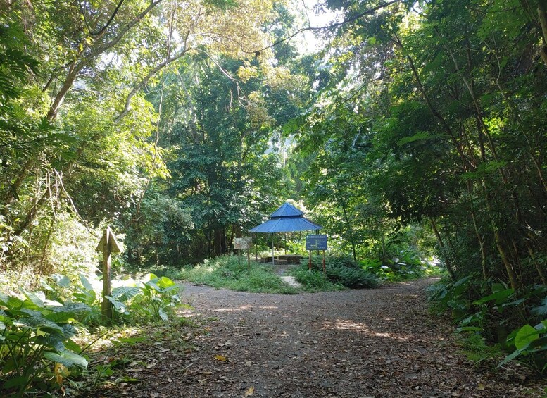 A forested area with a small blue-roofed pavilion and a dirt path leading to it. 4