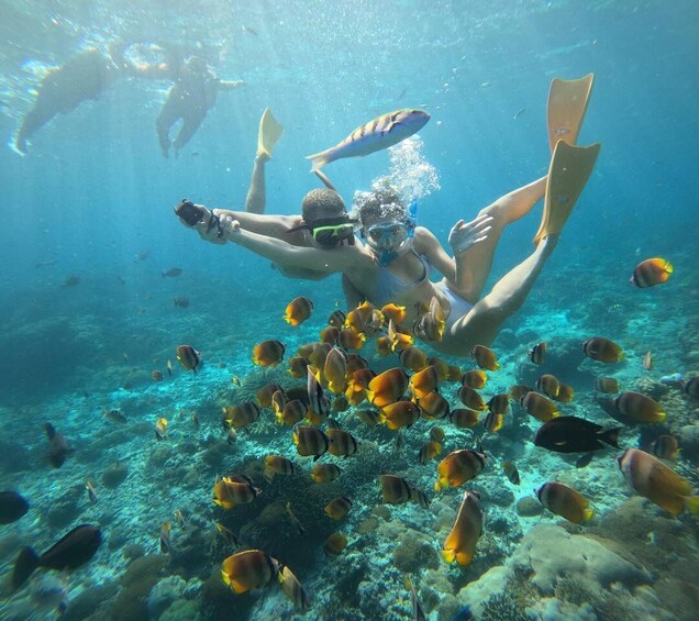 Two people snorkeling underwater with fins, surrounded by a school of tropical fish. 4