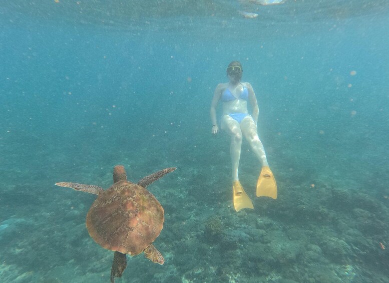 A person snorkeling with a sea turtle in clear water. 2