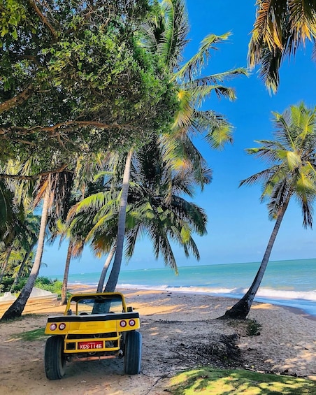 A yellow off-road vehicle parked on a sandy beach with palm trees and the ocean in the background. 1