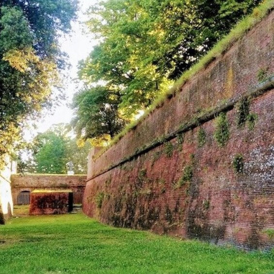 A brick wall with greenery growing on it, a grassy area, and a building in the background. 2