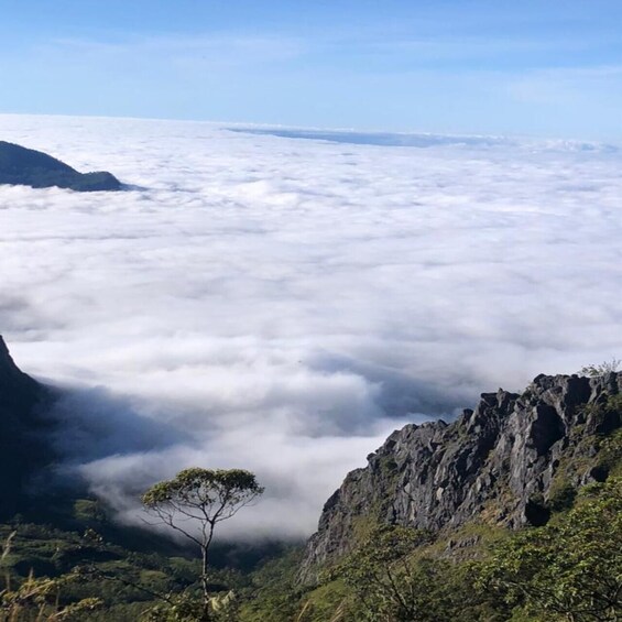 Picture 3 for Activity Timor Leste (East Timor) 3 Days Guided Tour 4