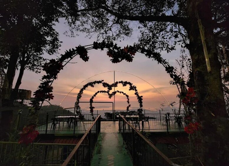 A heart-shaped arch made of vines and flowers at sunset. 1