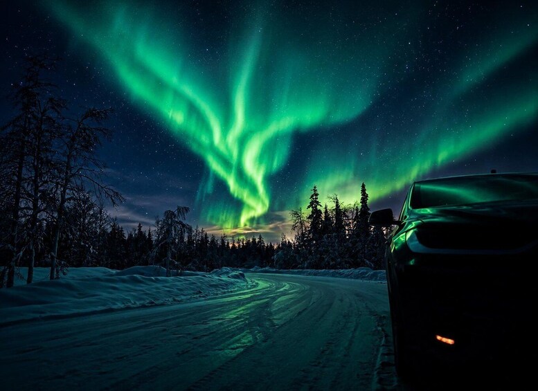 A snowy landscape with a road, trees, and the Northern Lights. 1