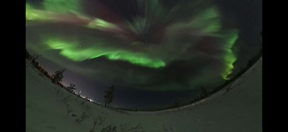 A panoramic view of the Northern Lights over a snowy landscape with trees and a distant road. 2