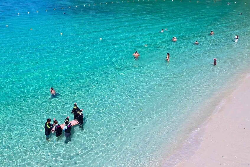 Picture 12 for Activity From Naha: Tokashiki Island Turtle Snorkeling Tour 5