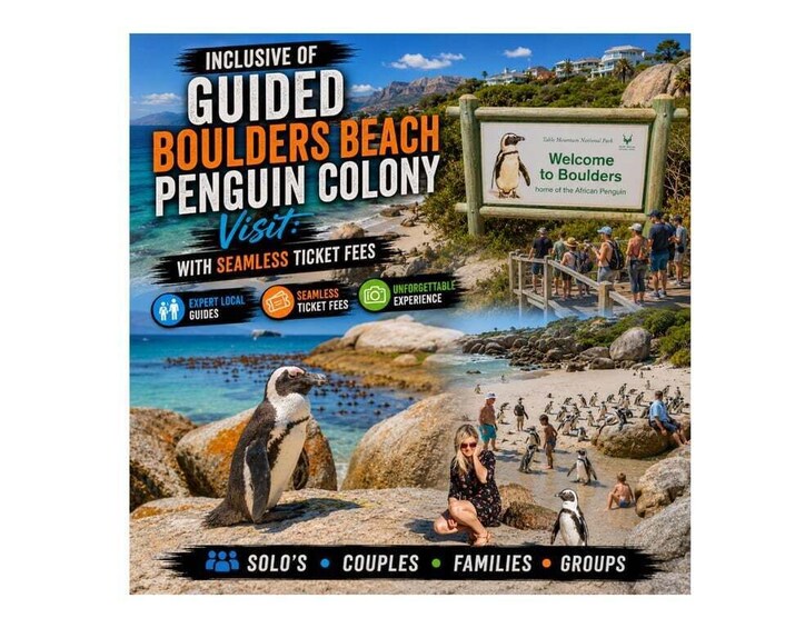 Opastettu vierailu Boulders Beachin pingviinikoloniaan, johon sisältyvät sujuvat lippujärjestelyt, asiantuntevat paikalliset oppaat ja unohtumaton elämys. 4