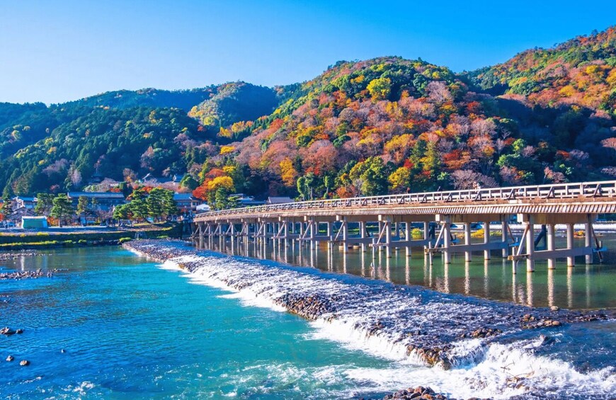 Picture 2 for Activity Kyoto: Arashiyama Early Access Bamboo & Temple Tour 2