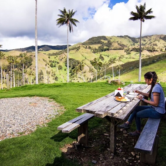 A woman sitting at a wooden picnic table with a plate of food, surrounded by a grassy area with palm trees and hills in the background. 1