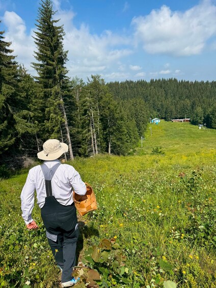 Picture 41 for Activity Sofia: Mushroom Foraging & Wild Food Experience with Dobrin 2