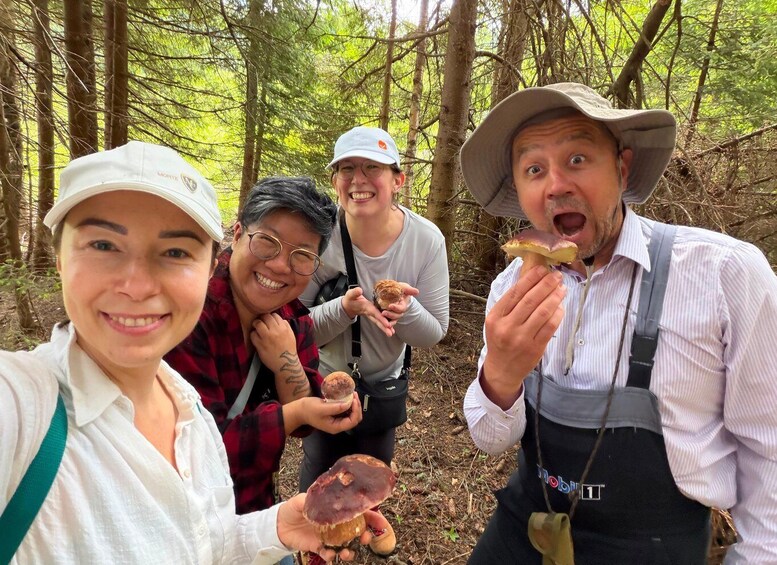 Sofia: Mushroom Foraging & Wild Food Experience with Dobrin 1