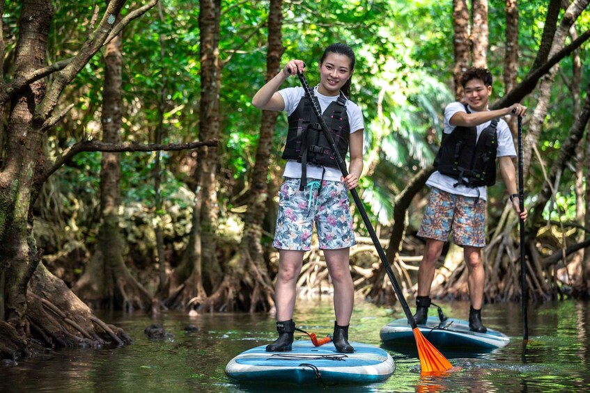 Picture 9 for Activity Ishigaki: Mangrove SUP or Canoe & Phantom Island Snorkeling 1