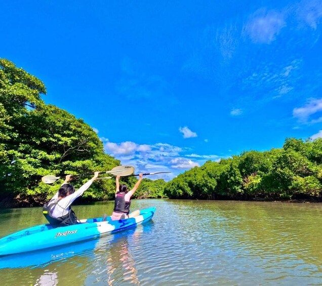 Two people kayaking on a river surrounded by dense green foliage under a clear blue sky. 2