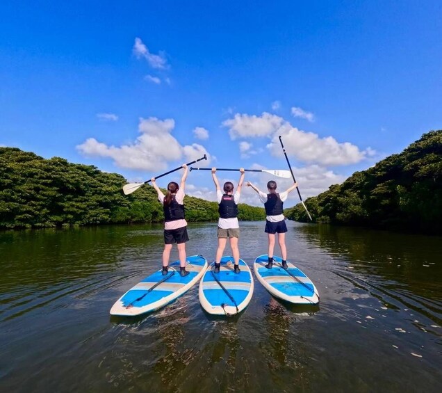 Three people paddleboarding on a calm river with lush greenery on the banks. 4