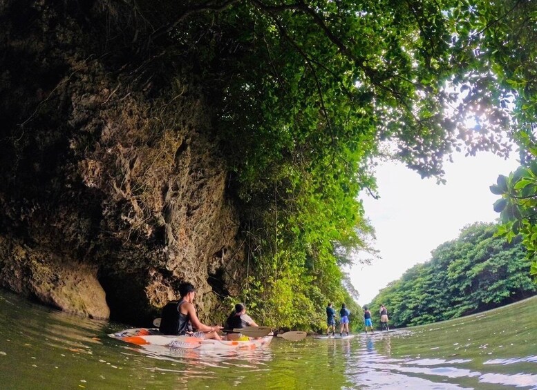 People kayaking on a river with a rocky cliff and dense foliage on one side. 5