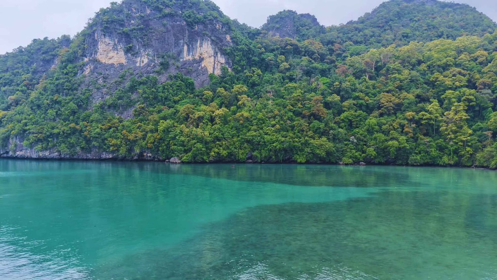 Picture 12 for Activity Langkawi: KILIM Jetski Tour + Snorkeling & Mangrove Walk 4