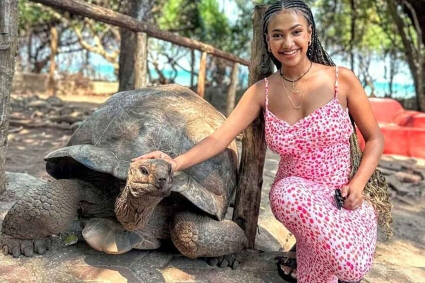 A person in a pink dress with a tortoise. 3