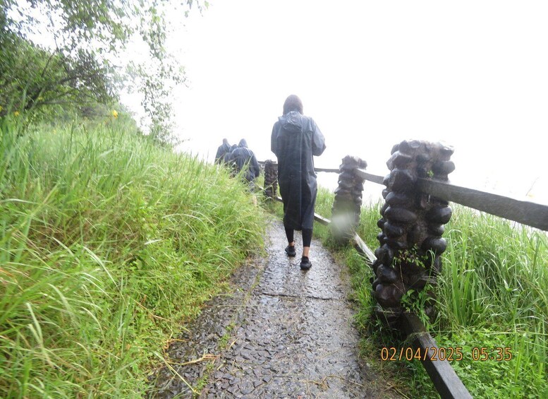 A person walking on a wet, rocky path surrounded by tall grass and trees. 4
