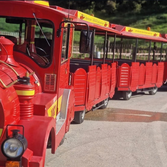 Picture 27 for Activity From Saranda/Ksamil: Gjirokaster, Blue Eye (Train) & Lekursi 2