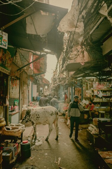 A narrow alley with shops on both sides, a cow in the middle, and a person standing. 2