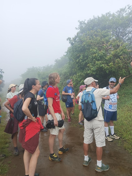 Picture 13 for Activity Walking Tour to Sierra Negra volcano and Chico Volcano 3