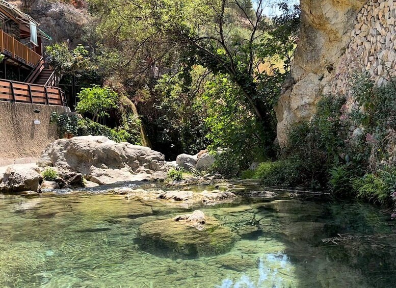 A clear stream with rocks, a wooden staircase, and lush greenery. 2