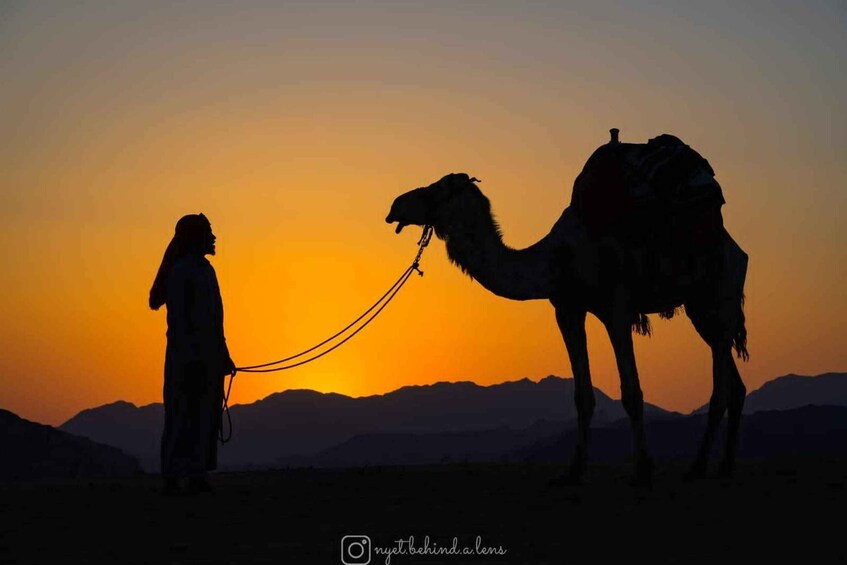 Wadi Rum: Camel Ride with tea and Bedouin Guide 1