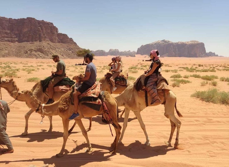 Picture 6 for Activity Wadi Rum: Camel Ride with tea and Bedouin Guide 5