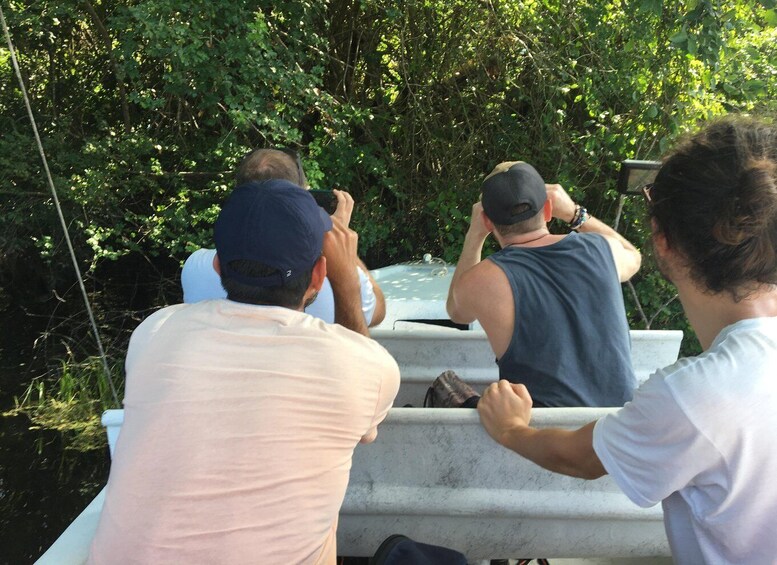 Picture 7 for Activity Wings of Belize: Crooked Tree Wildlife Adventure 4